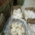 《精选》荷兰十五土豆山东基地直发对接商超团购电商一条龙