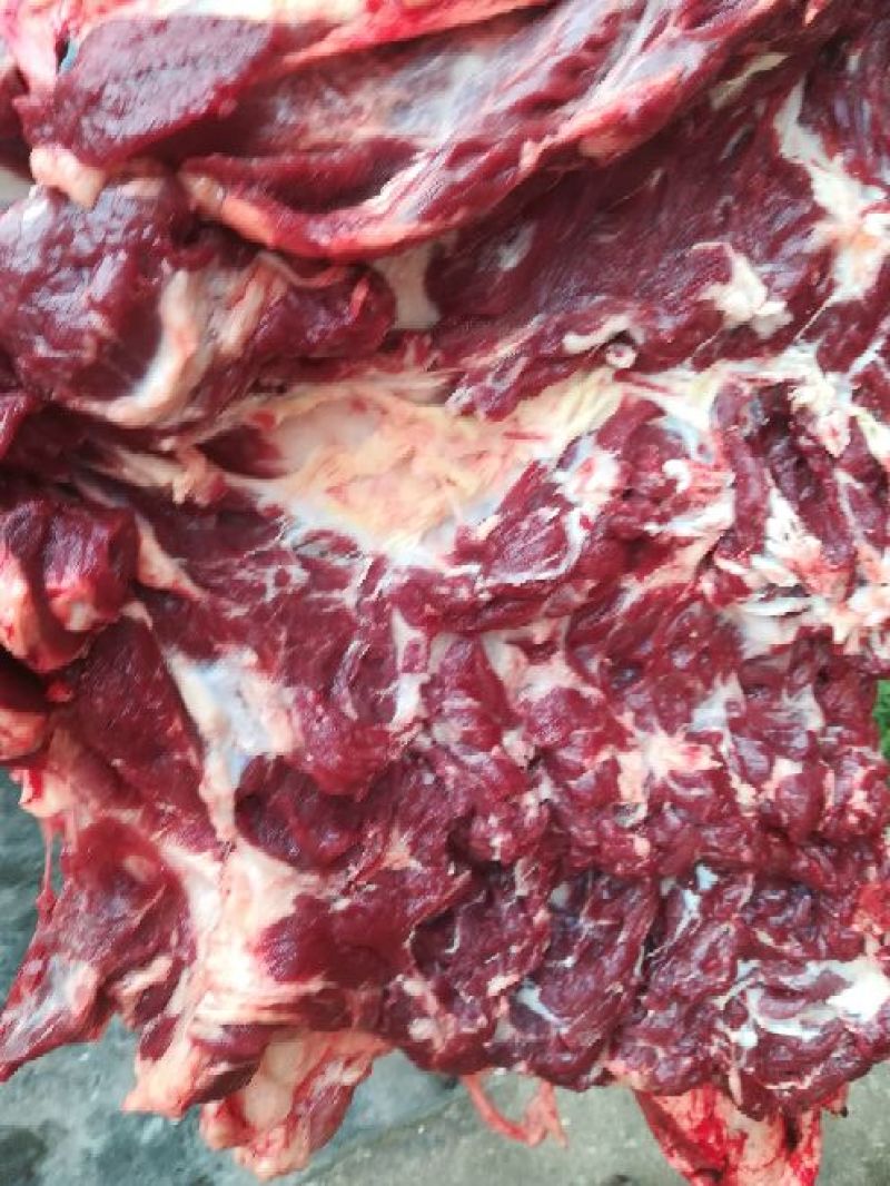 驴肉鲜货