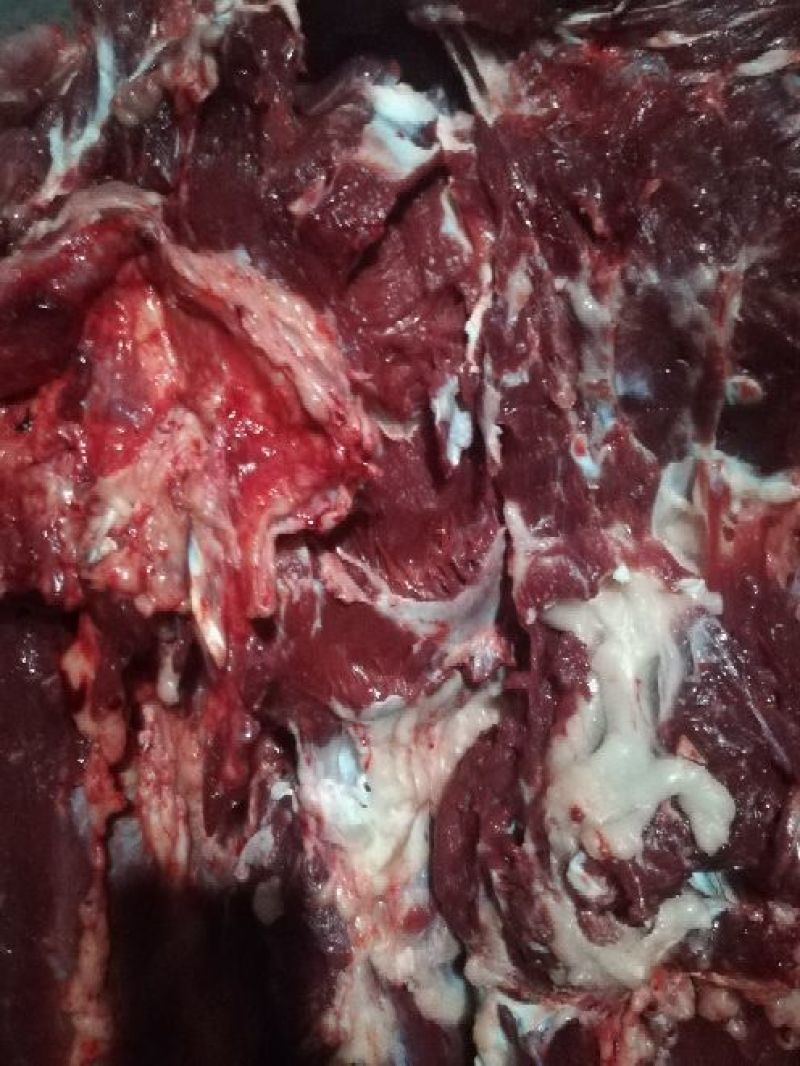 驴肉鲜货