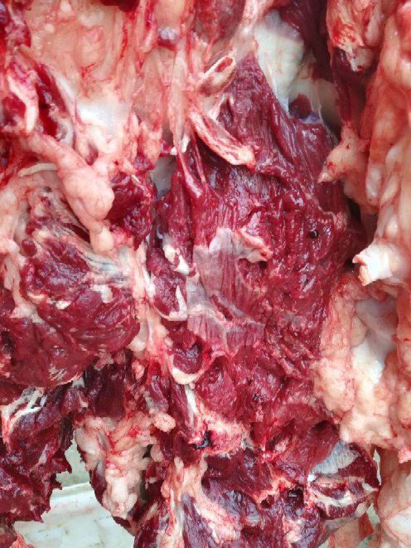 驴肉鲜货