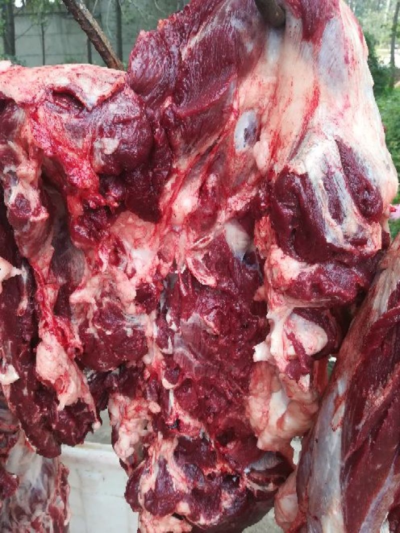 驴肉鲜货
