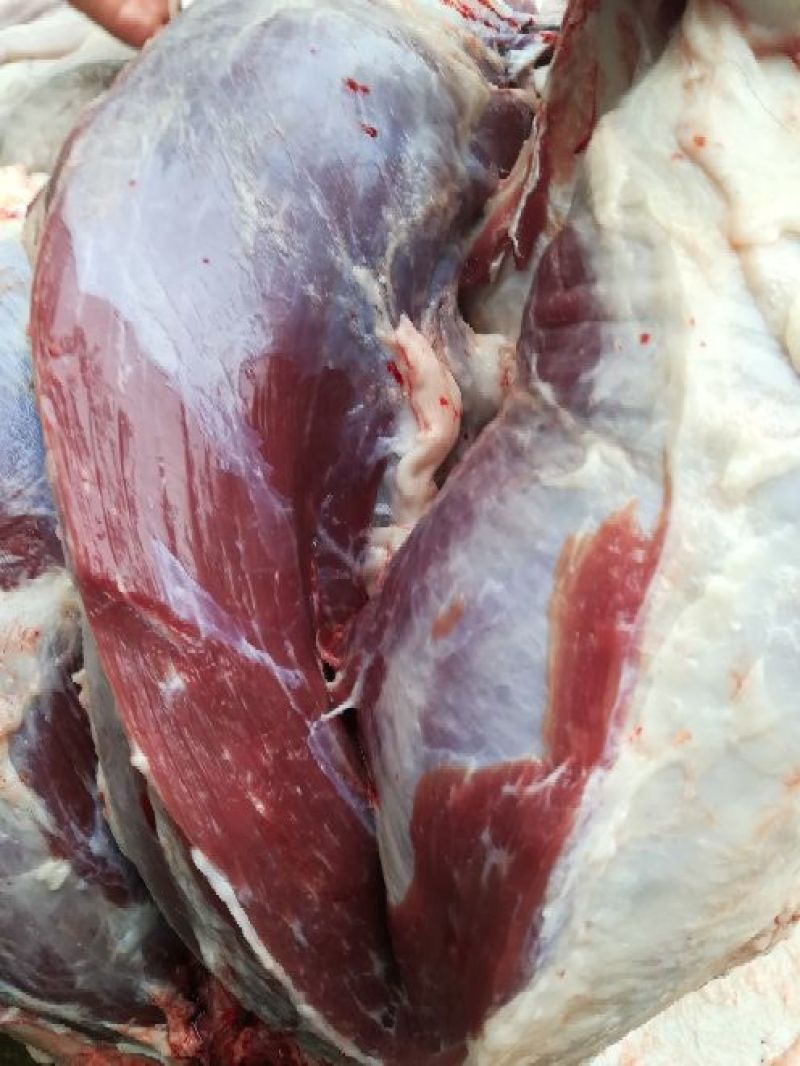 驴肉鲜货