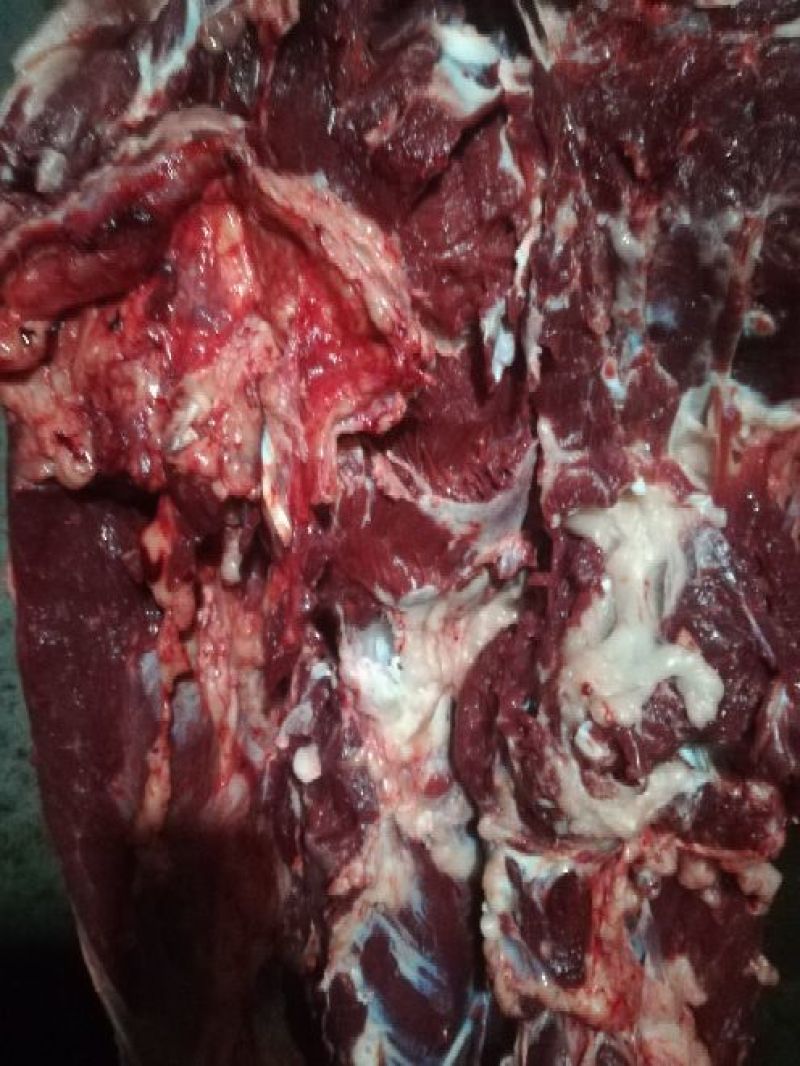 驴肉鲜货