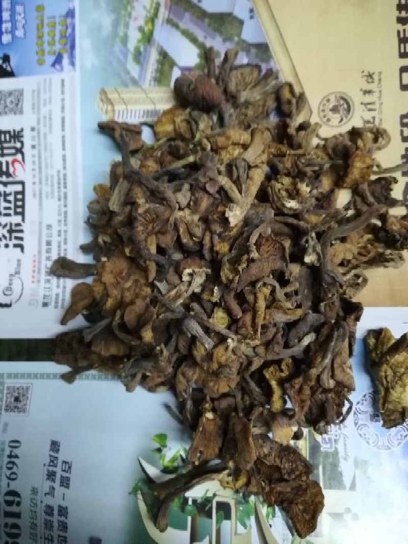 榛蘑一级