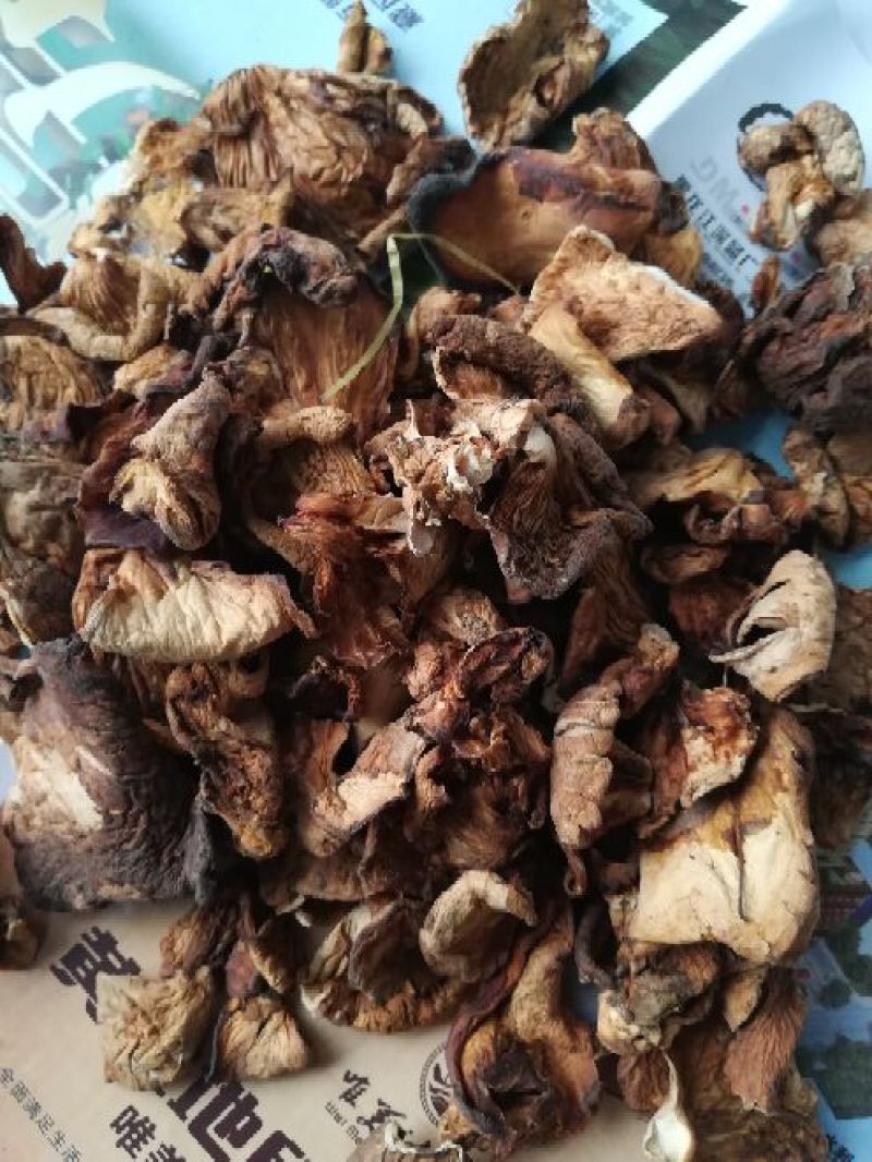 榛蘑一级