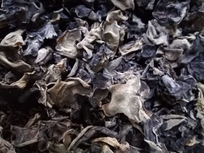 榛蘑一级