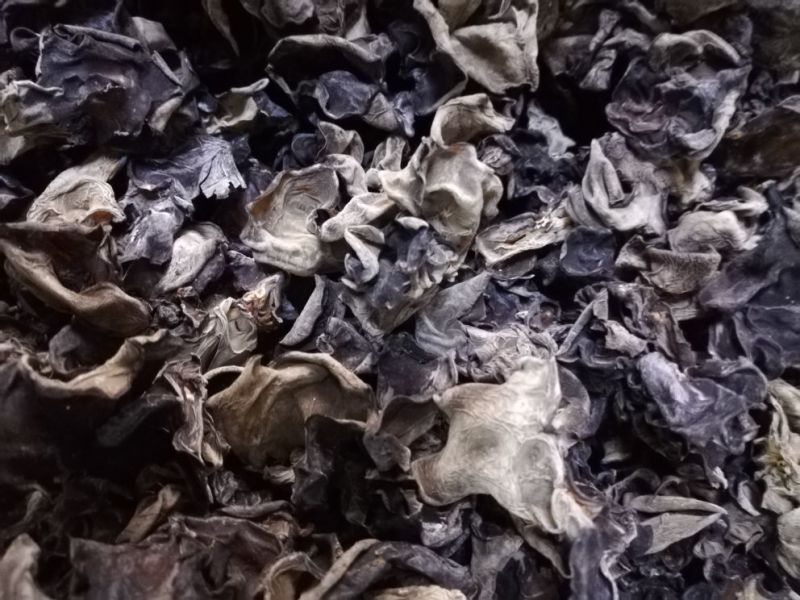 榛蘑一级