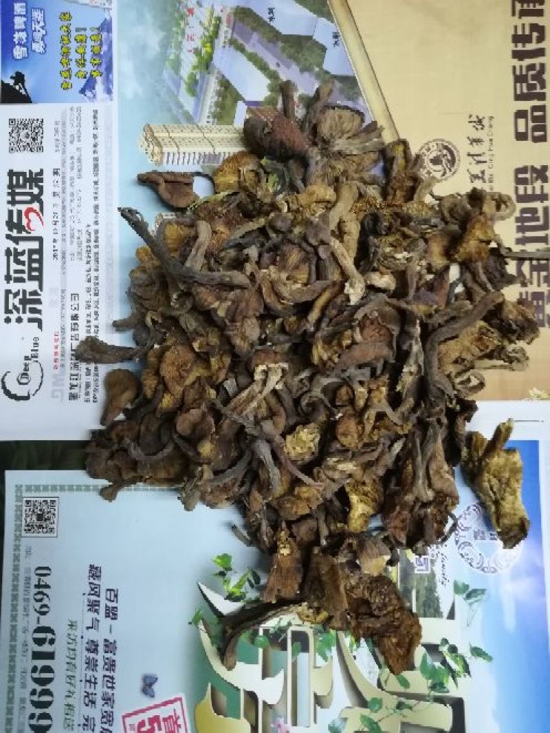 榛蘑一级