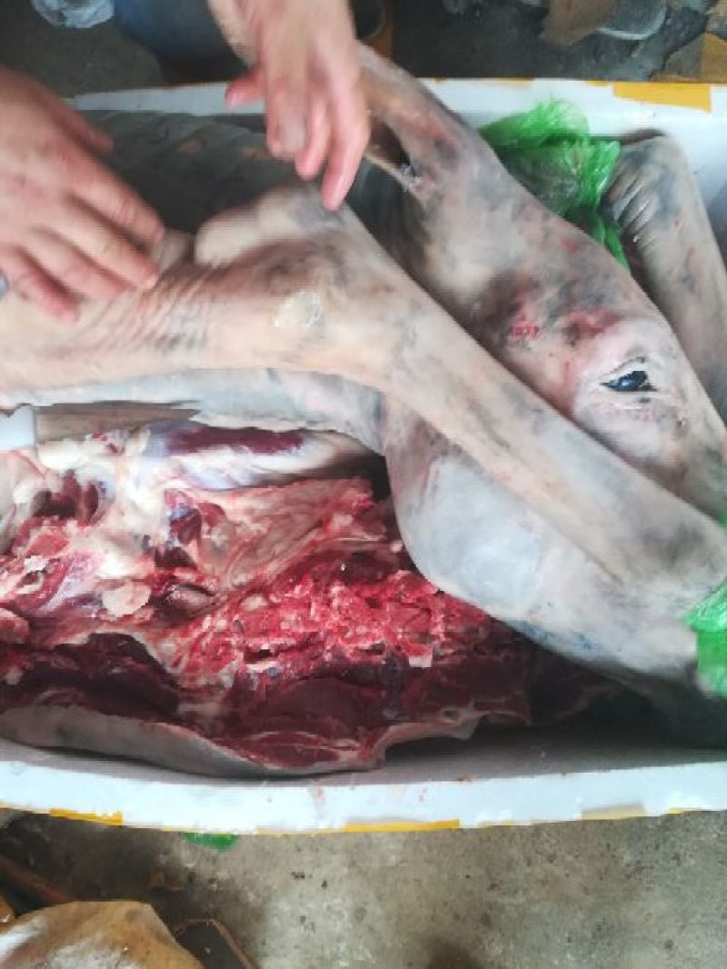驴肉鲜货