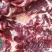 驴肉鲜货