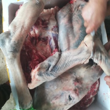 驴肉鲜货