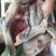 驴肉鲜货