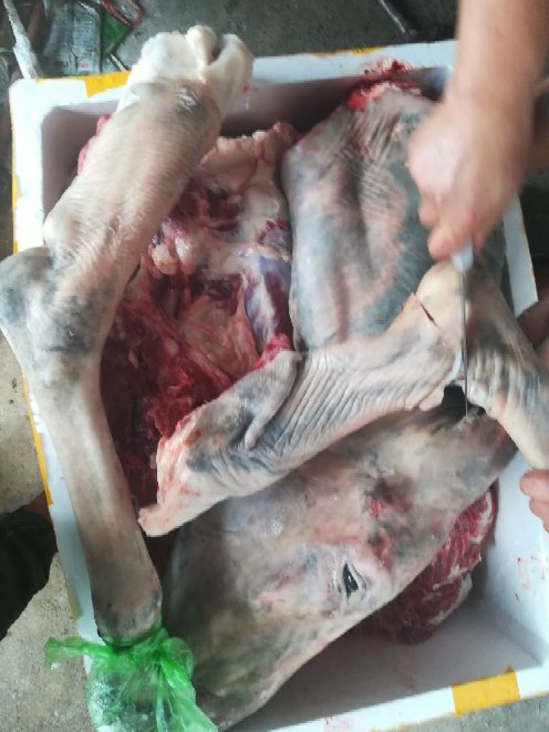 驴肉鲜货
