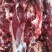 驴肉鲜货