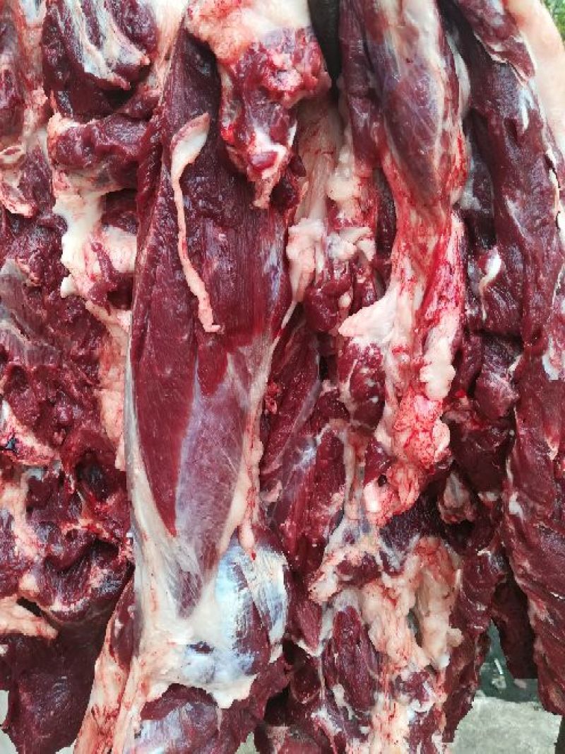 驴肉鲜货