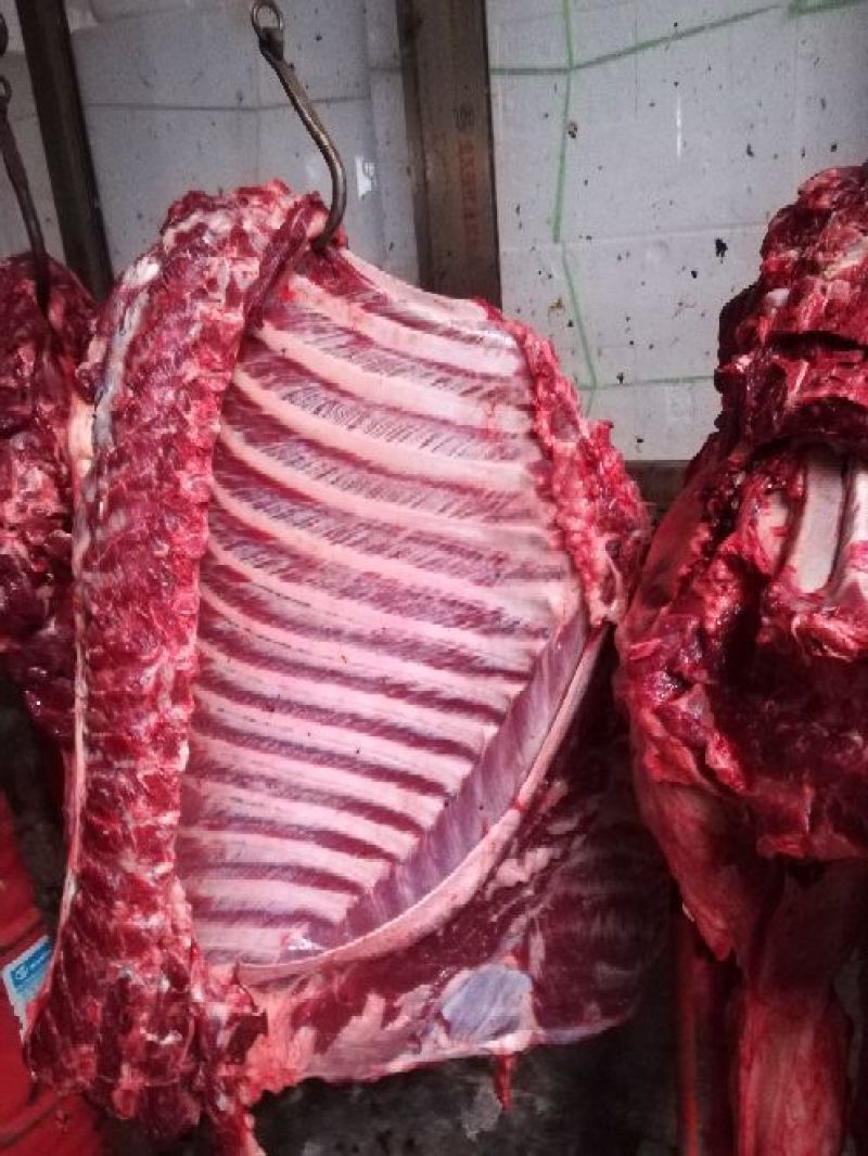 驴肉鲜货