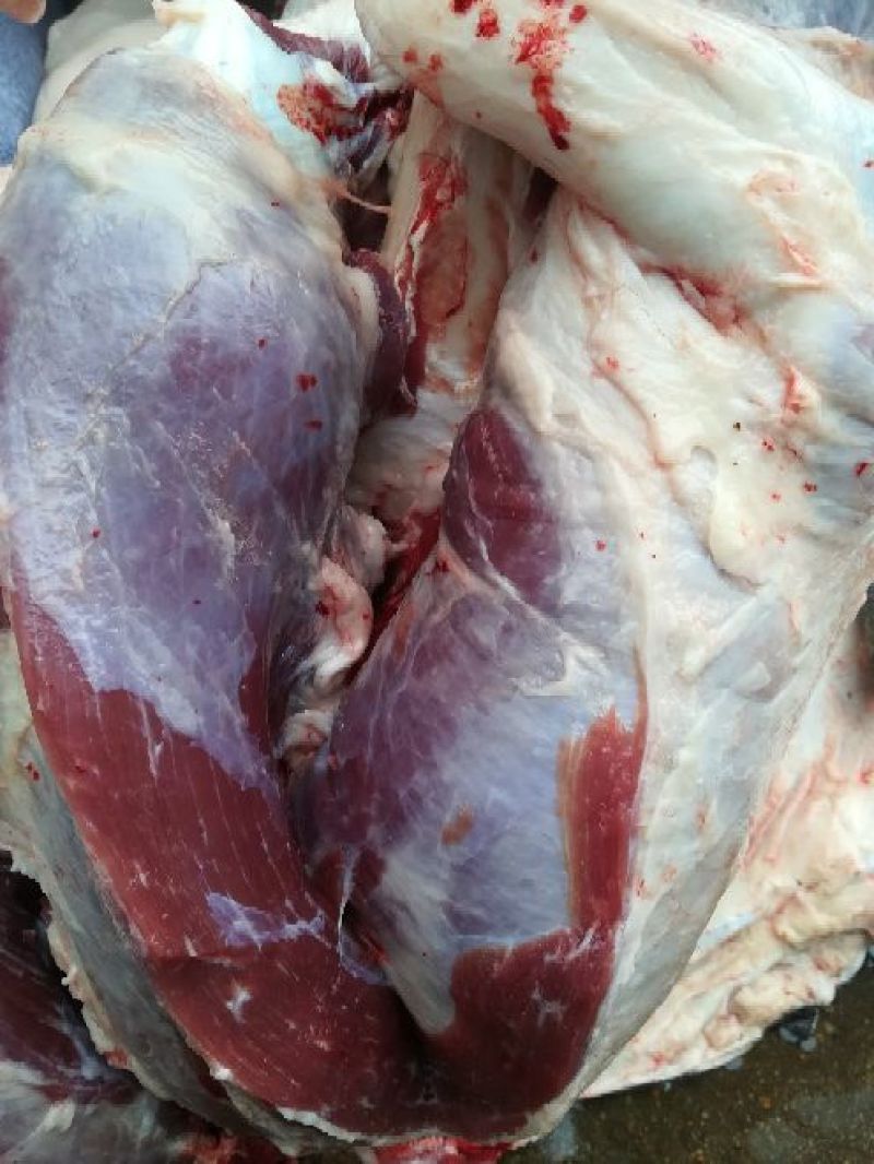 驴肉鲜货