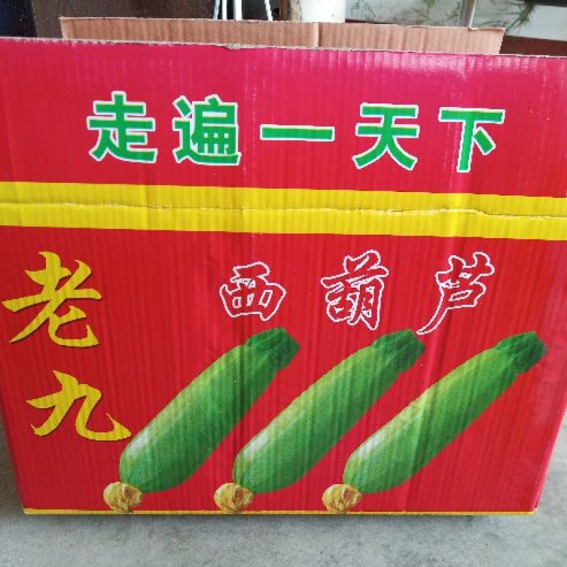 纸箱1号（530*290*370）