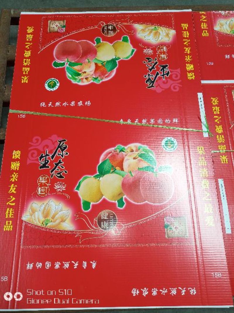 纸箱1号（530*290*370）