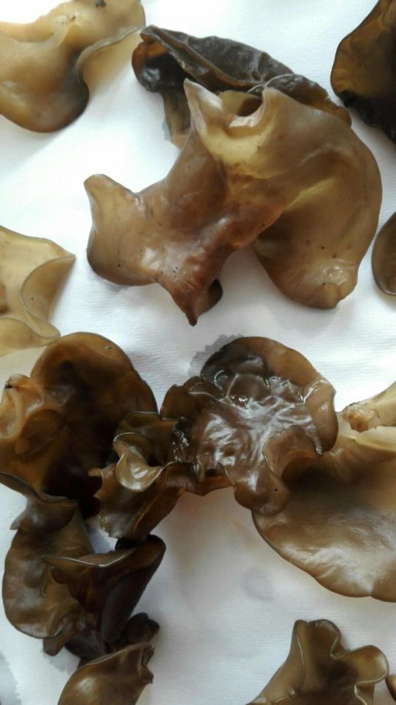 黑木耳一级