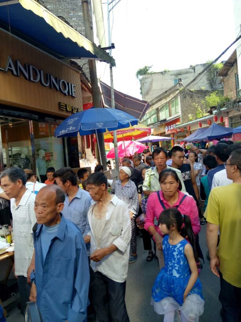洋荷姜2两以上带土
