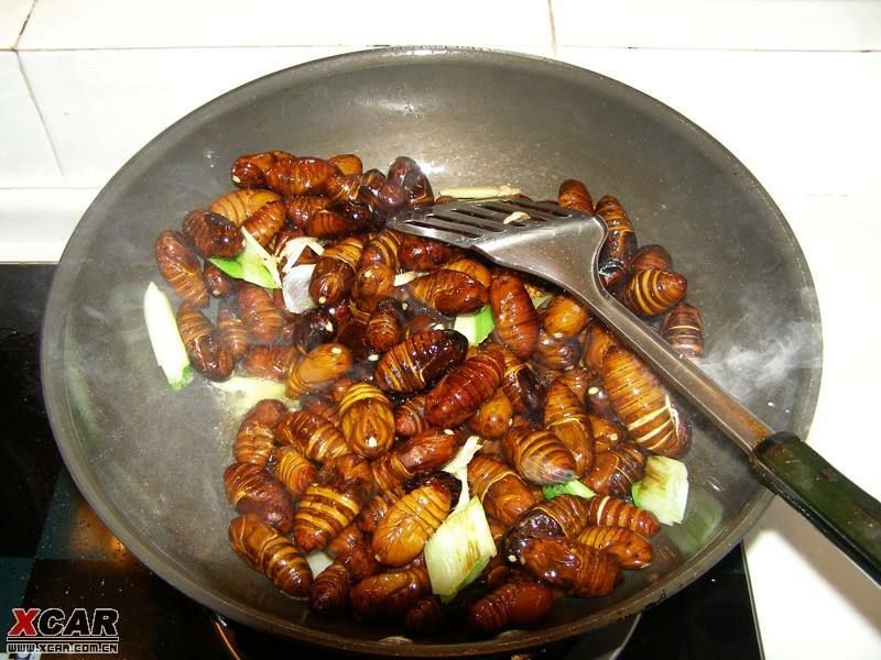 茧蛹