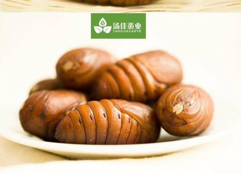 茧蛹