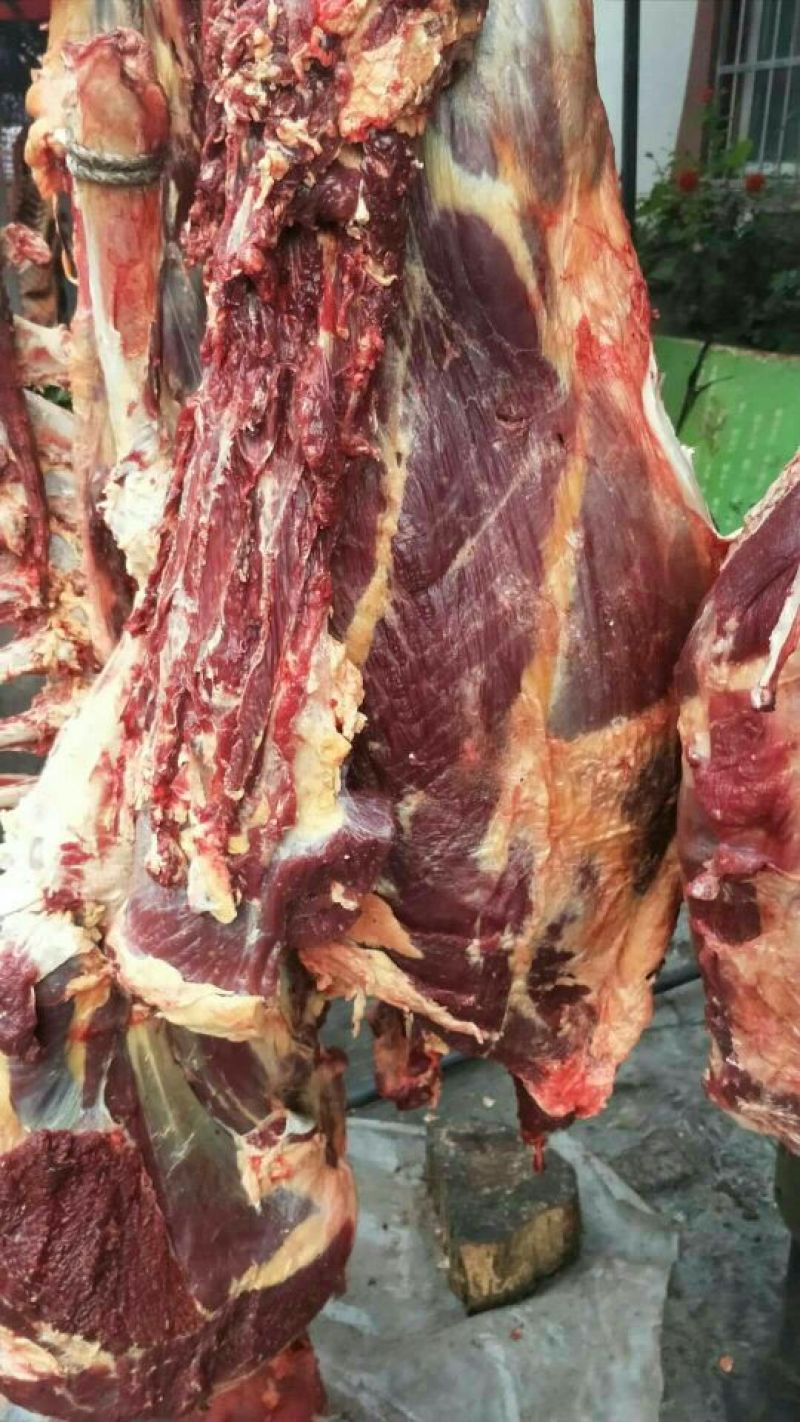 牛肉干牦牛肉鲜肉