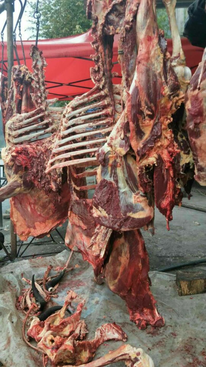牛肉干牦牛肉鲜肉