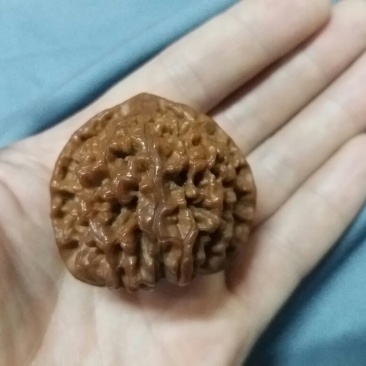麻核桃去皮40mm以上干