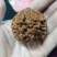 麻核桃去皮40mm以上干