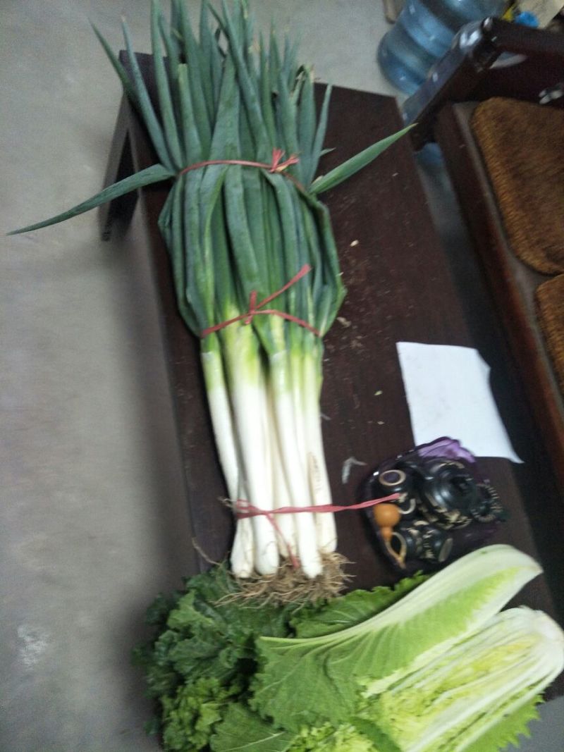 大葱铁杆大葱白长30cm