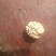 薄皮核桃去皮25~35mm干