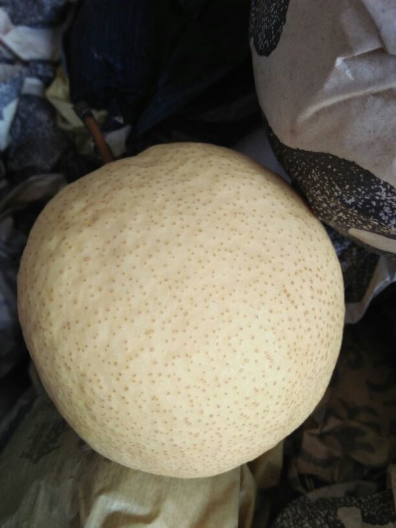 酥梨纸袋250~300g