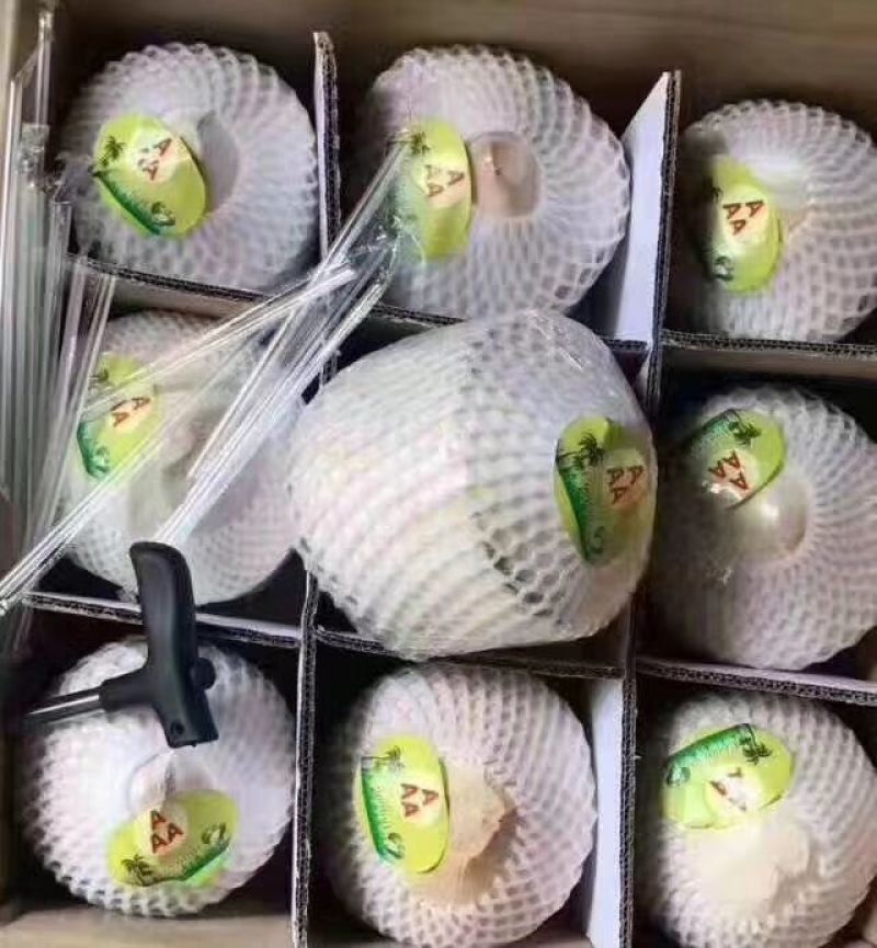 椰子1.5~2斤