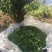 普洱茶一级