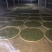 普洱茶一级