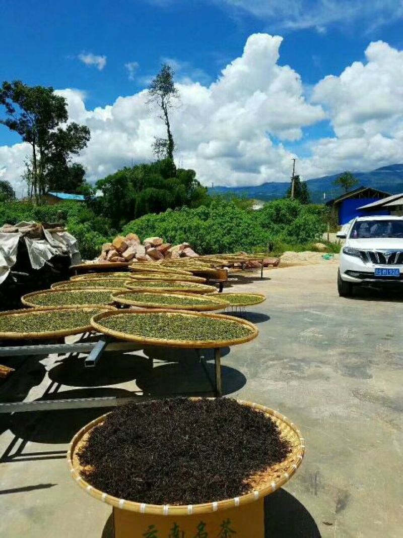 普洱茶一级