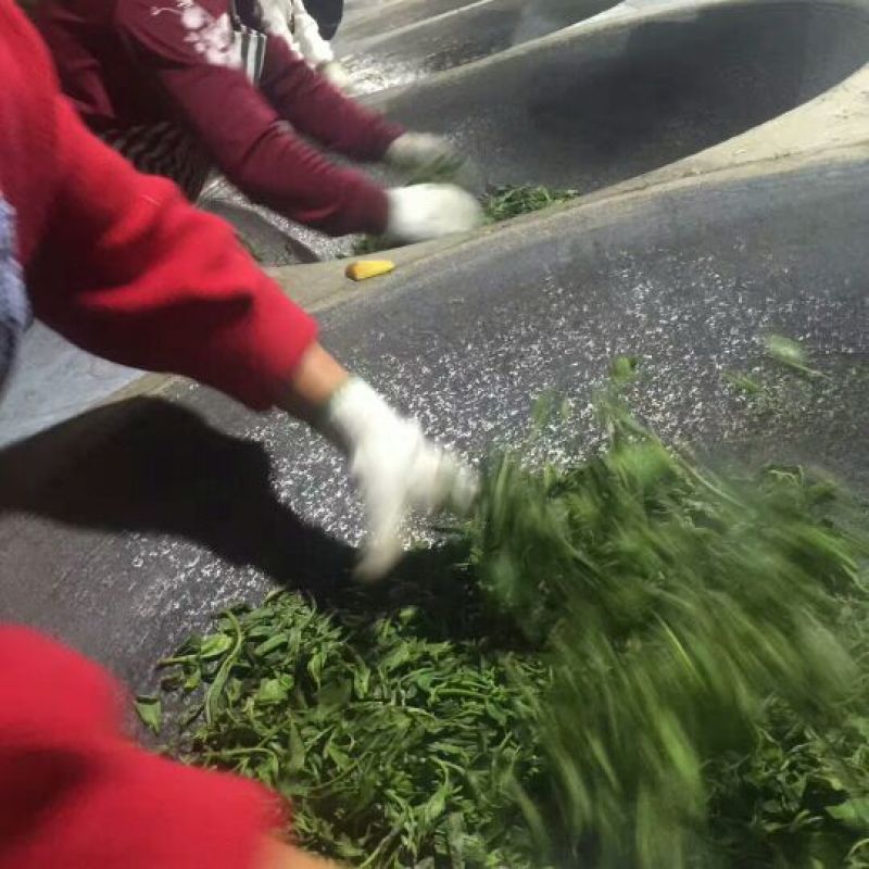 普洱茶一级