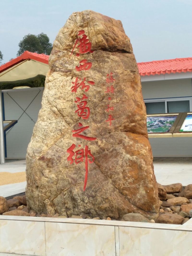 葛根产地直销葛根粉非野生葛根粉纯葛根粉包邮