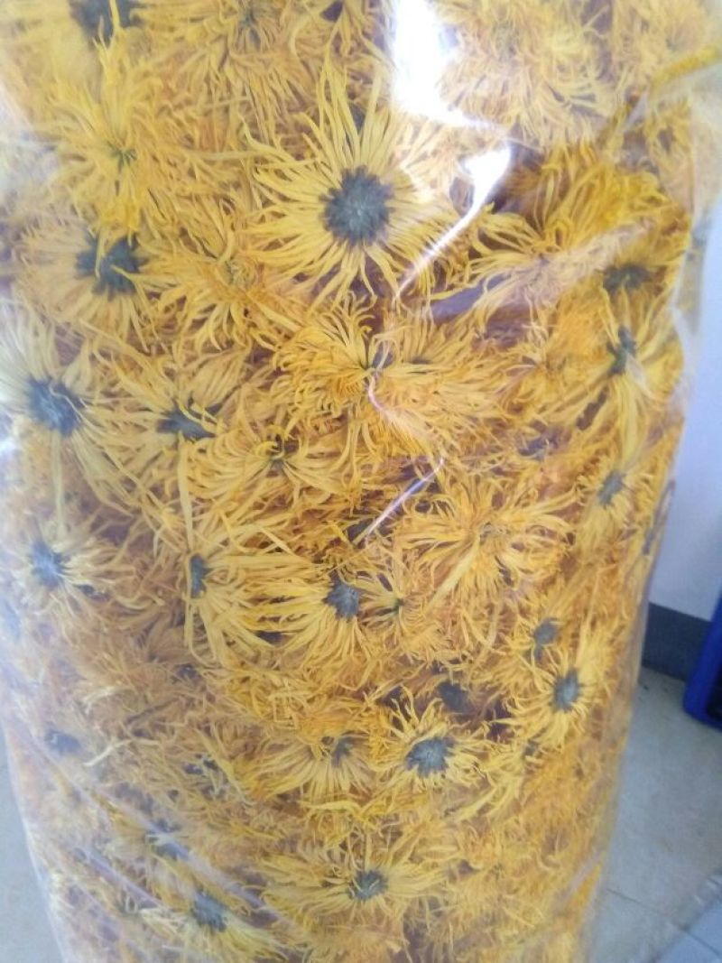 金丝皇菊茶一级