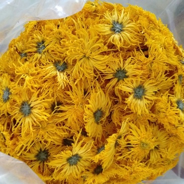 金丝皇菊茶一级