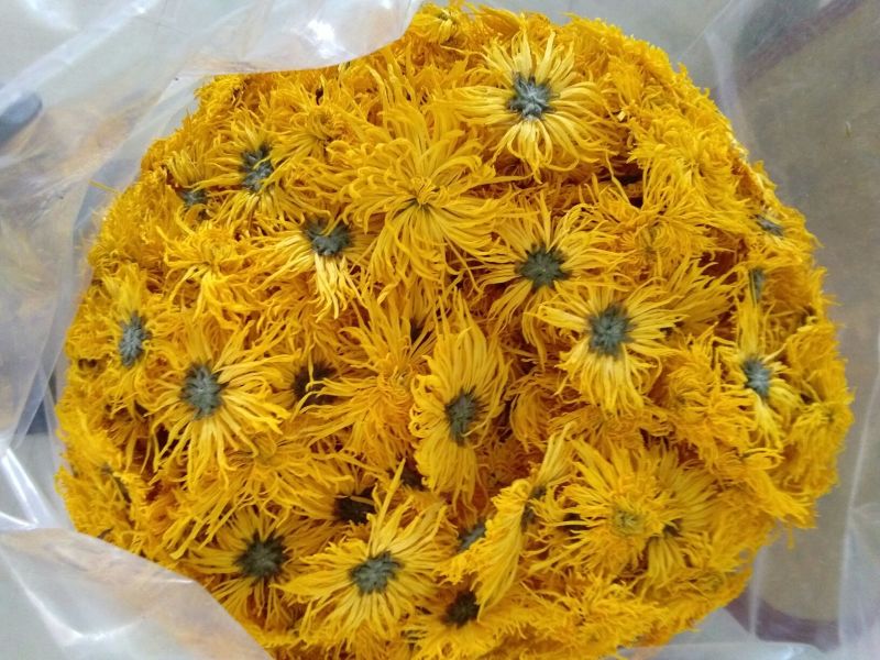 金丝皇菊茶一级