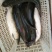 池鲤鱼1~2公斤食用