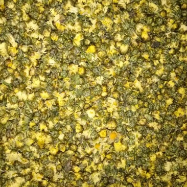 胎菊王散装