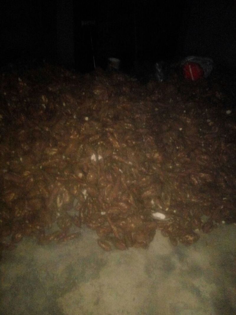 红薯淀粉散装