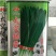 冬绿夏青袋装