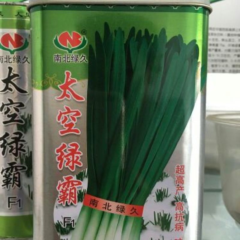 冬绿夏青袋装