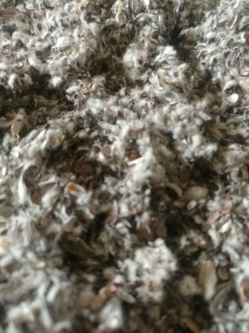 棉籽壳大量出货压缩包代理铁路运输质优价廉量大从优