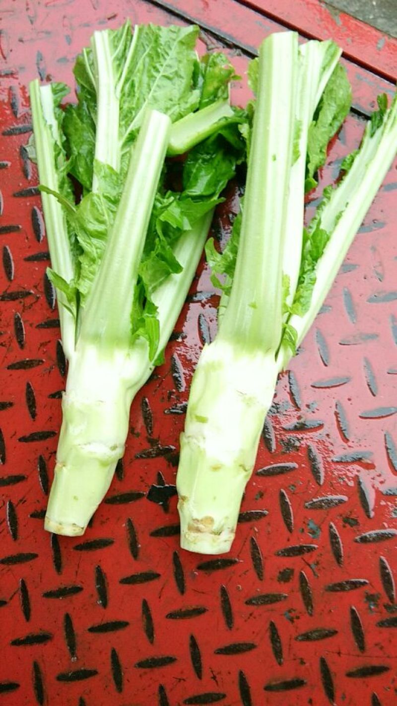棒菜5两以上